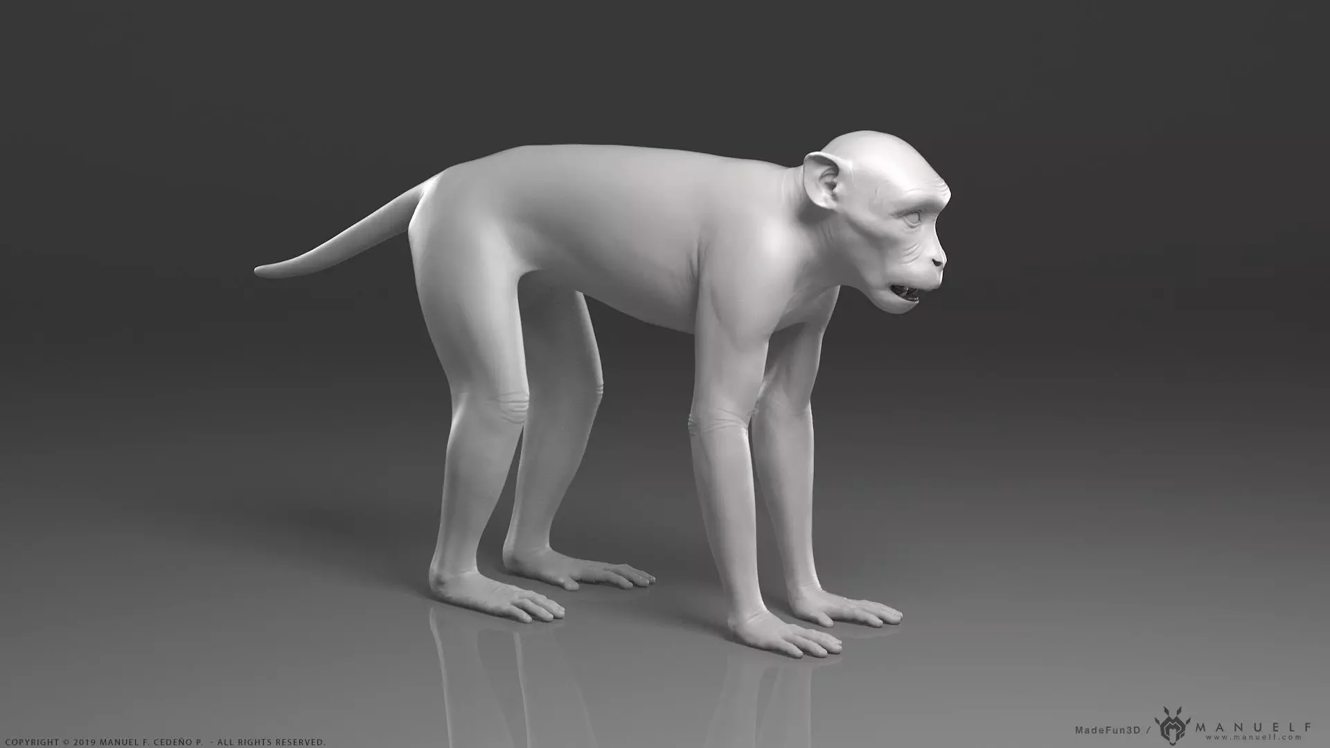 Rhesus Macaque Monkey - Highpoly Sculpture 3D model_0