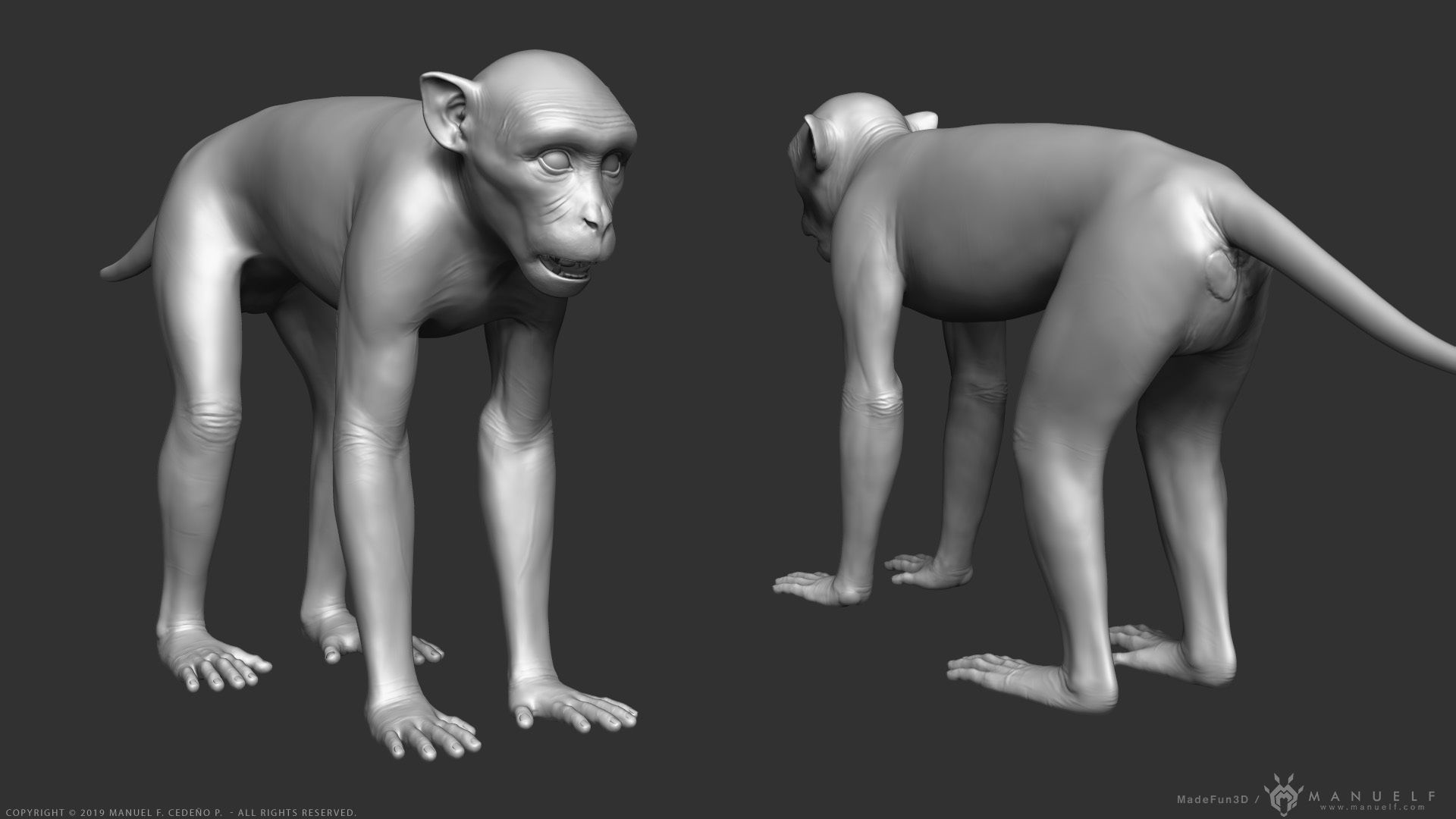 Rhesus Macaque Monkey - Highpoly Sculpture 3D model_4