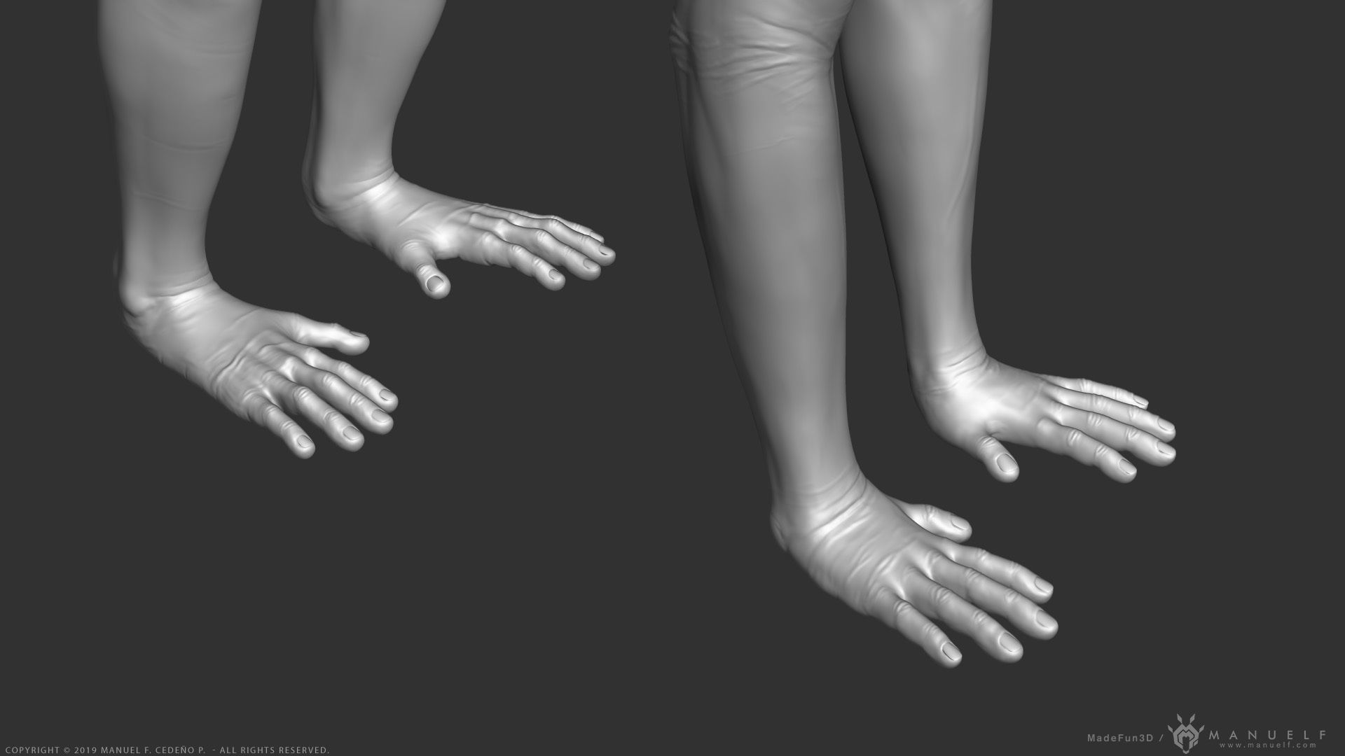 Rhesus Macaque Monkey - Highpoly Sculpture 3D model_16