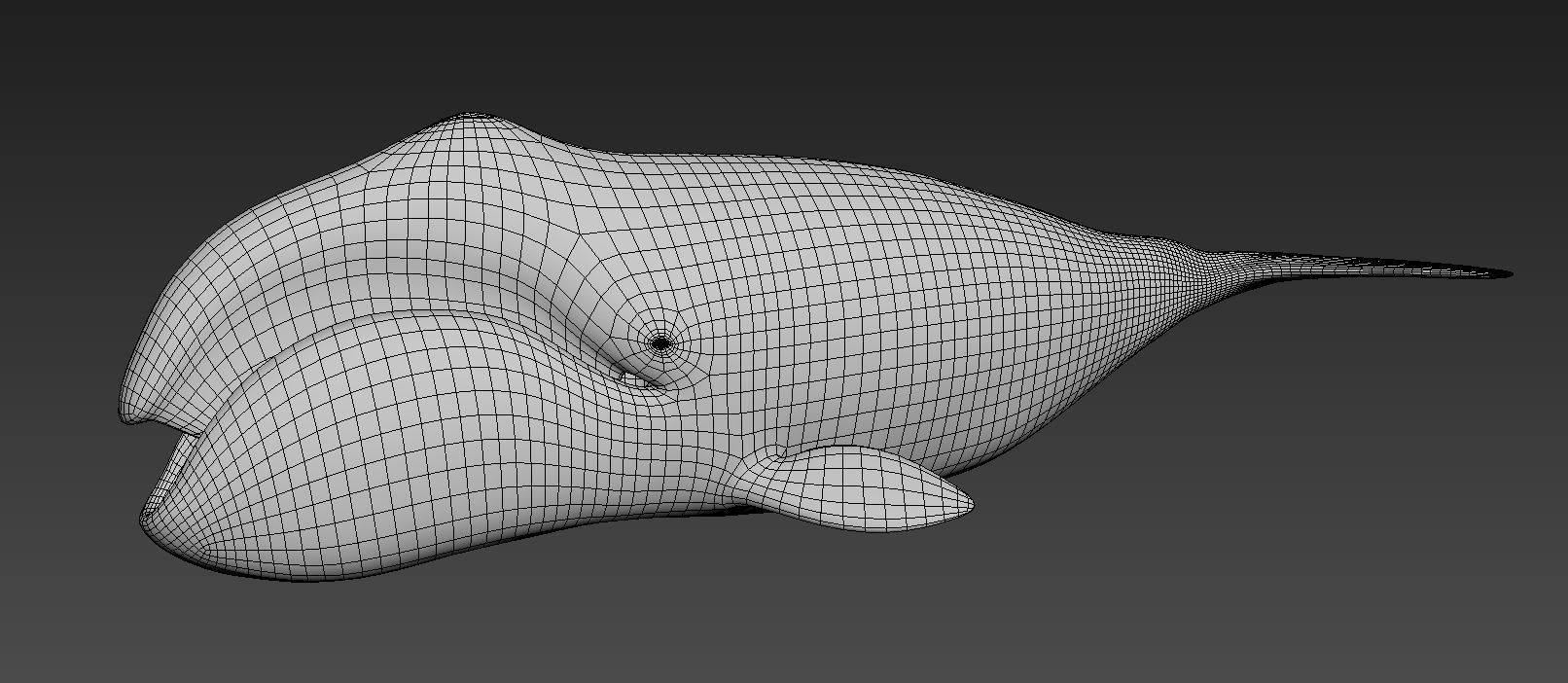 Bowhead whale 3D model_6