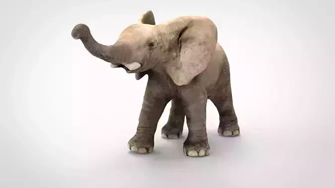 ELEPHANT baby Low-poly 3D model