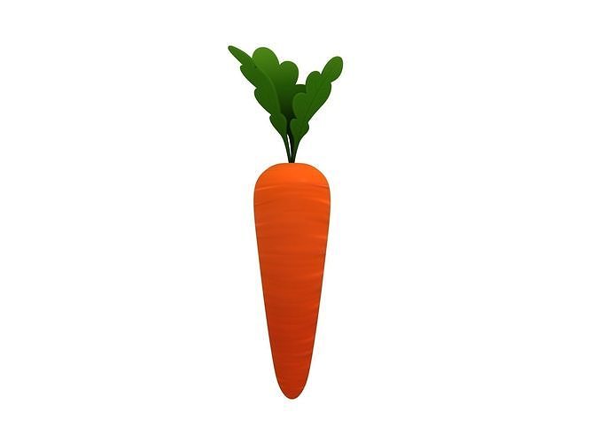 Carrot 3D model 4