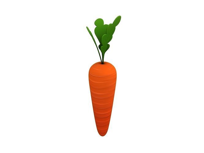 Carrot 3D model 7