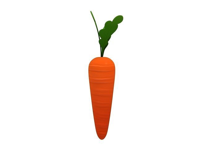 Carrot 3D model 5
