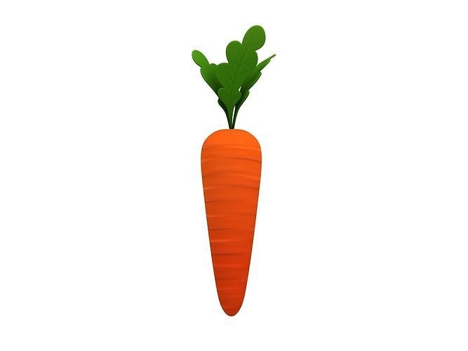 Carrot 3D model 2