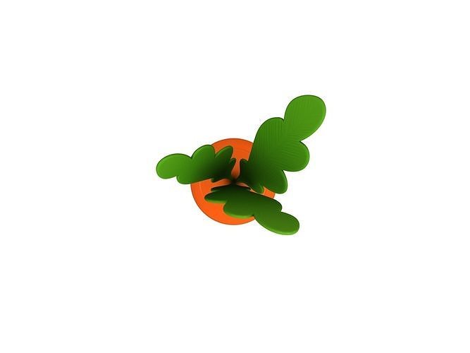 Carrot 3D model 6