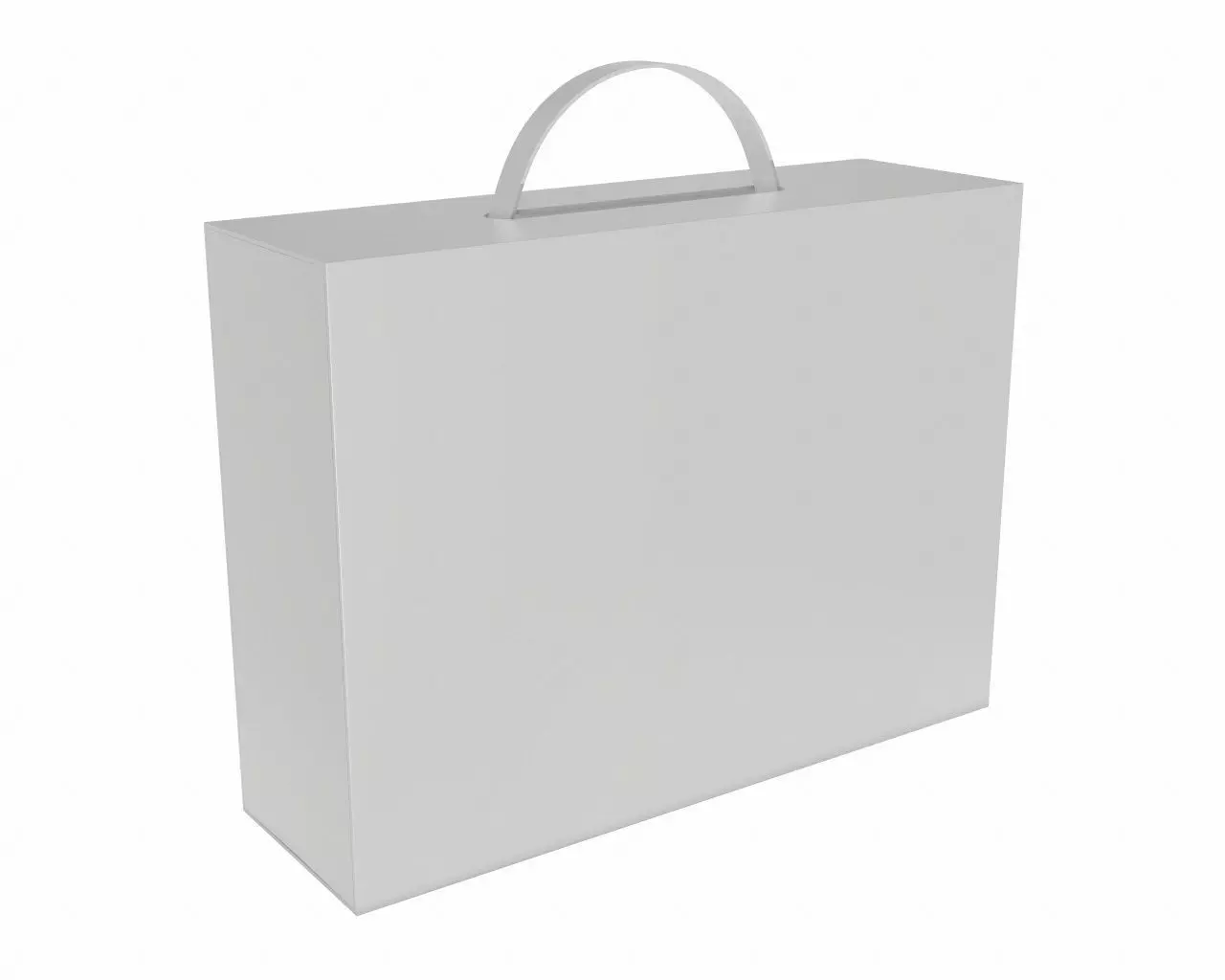 Blank Carton White Paper Package Box Mock Up 3D model