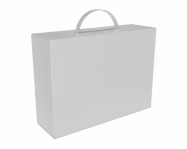 Blank Carton White Paper Package Box Mock Up 3D model
