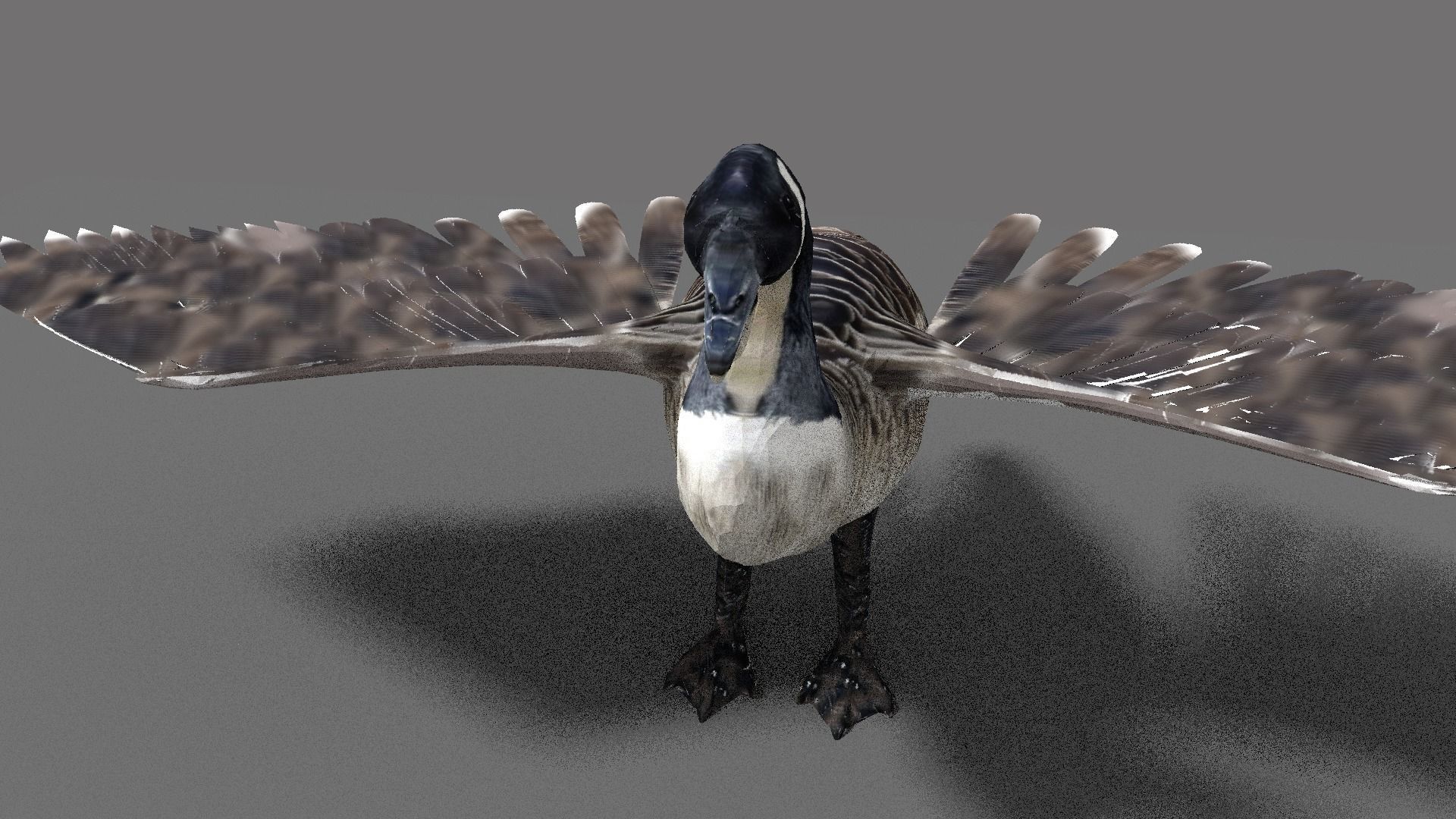 goose canadian with wings spread 3D model_5