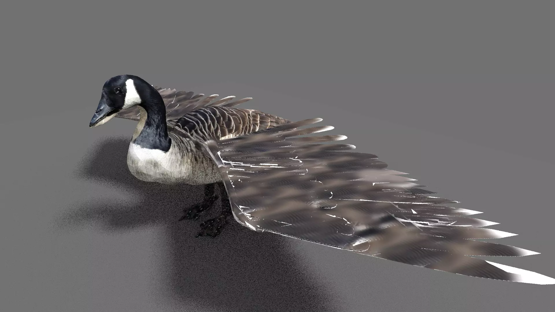 goose canadian with wings spread 3D model_0