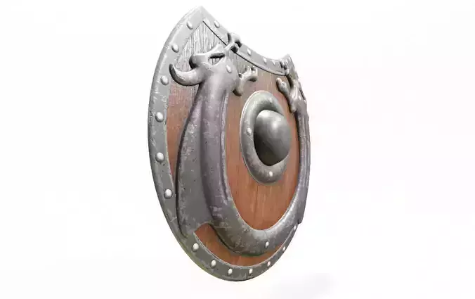 medieval viking shield 