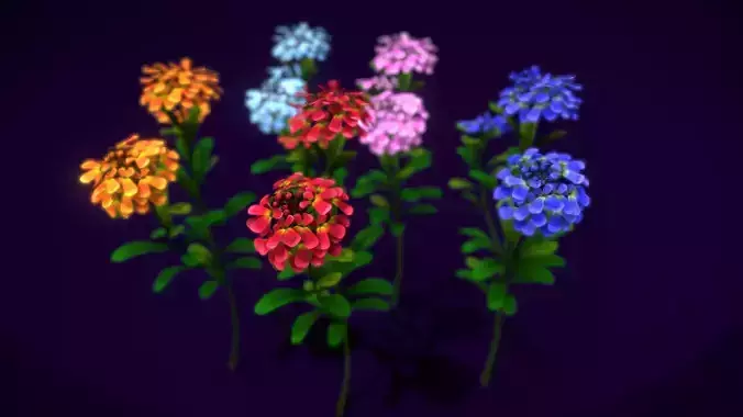 Flower Gibraltar Low-poly 3D model