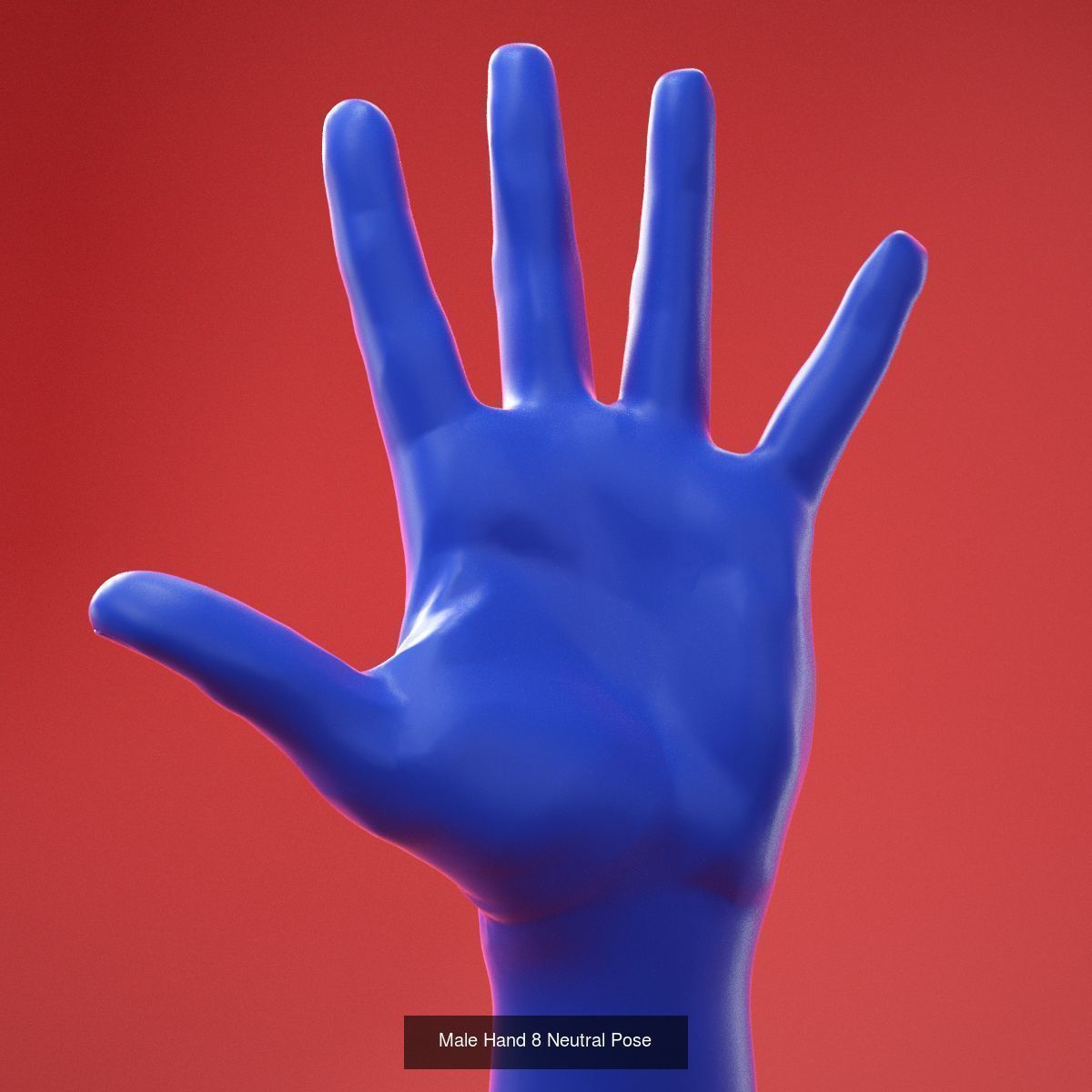 25 Realistic Posed Male Hands and Gloves 3D Model Collection_3
