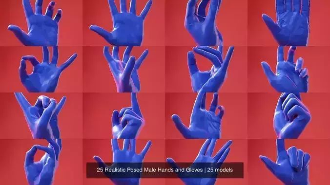 25 Realistic Posed Male Hands and Gloves 3D Model Collection