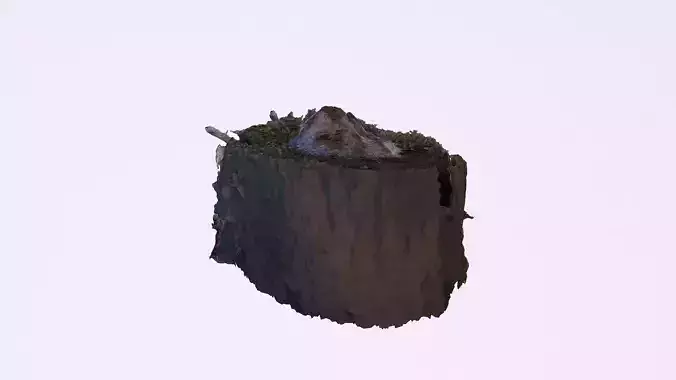 Photoscanned stump