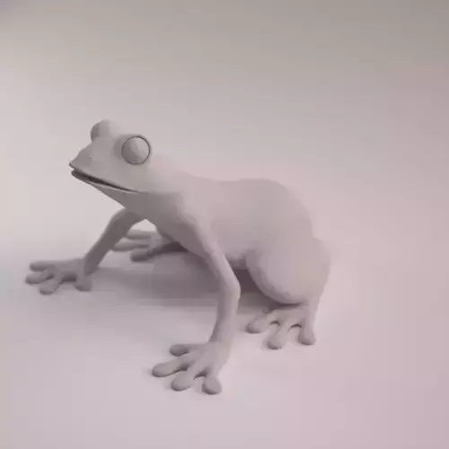 Frog model 3D print model