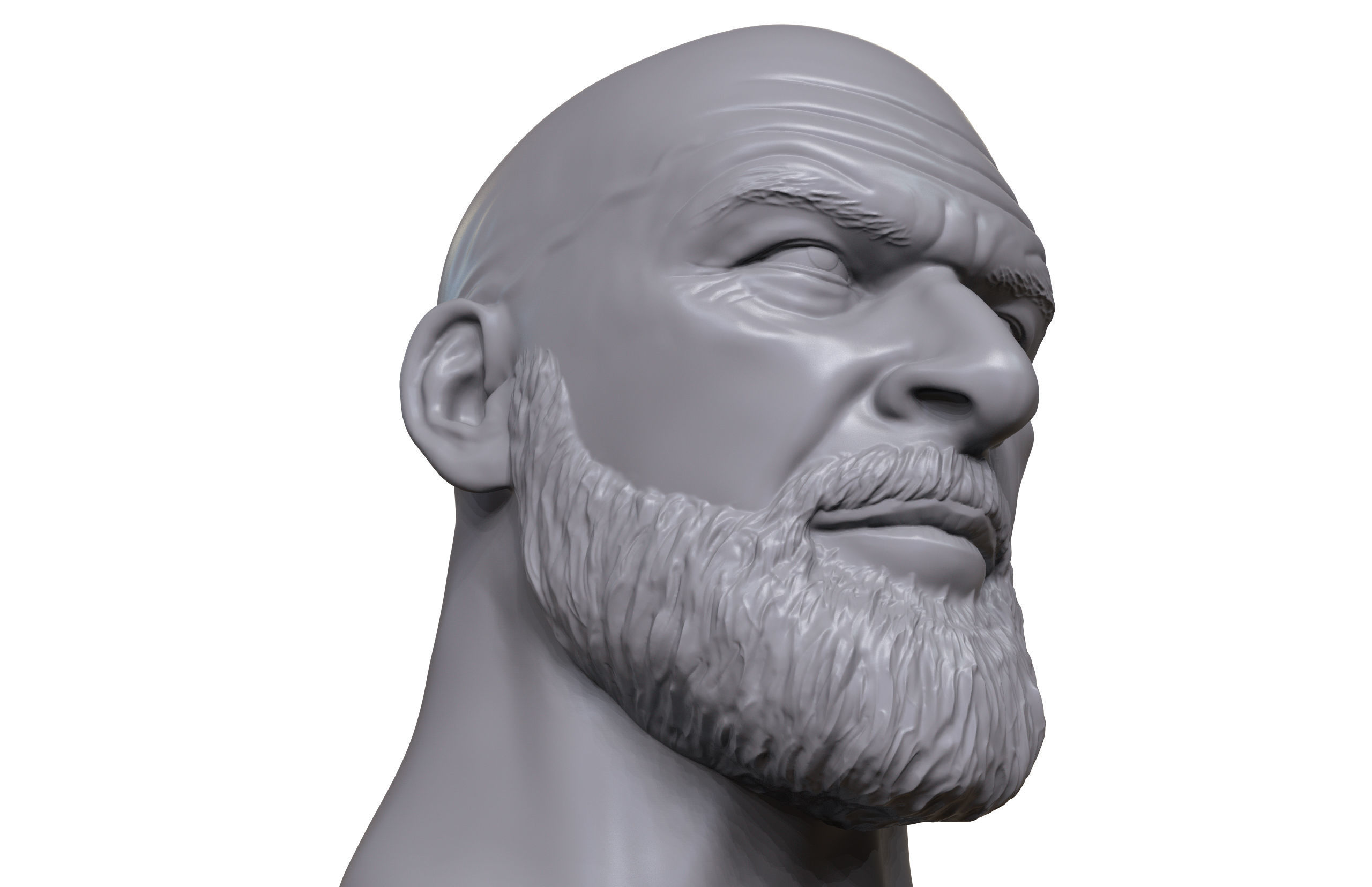 Quadriple C 3D printable portrait sculpture 3D print model_2