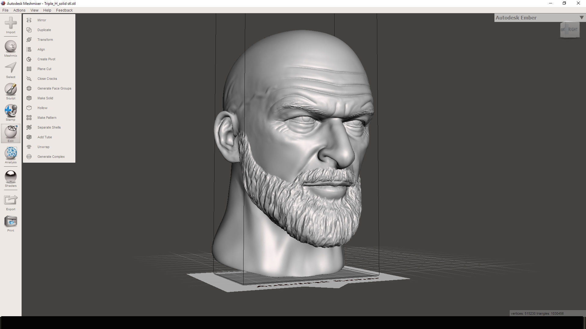 Quadriple C 3D printable portrait sculpture 3D print model_11