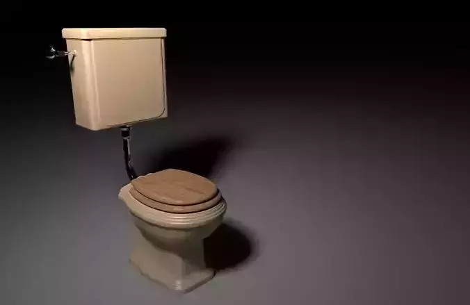 lavatory toilet with wooden seat