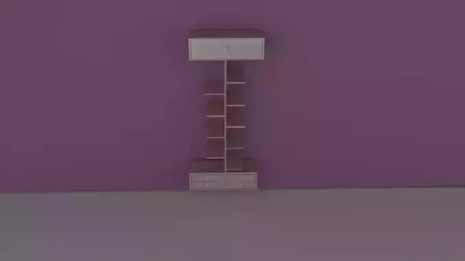 slipper and shoe case