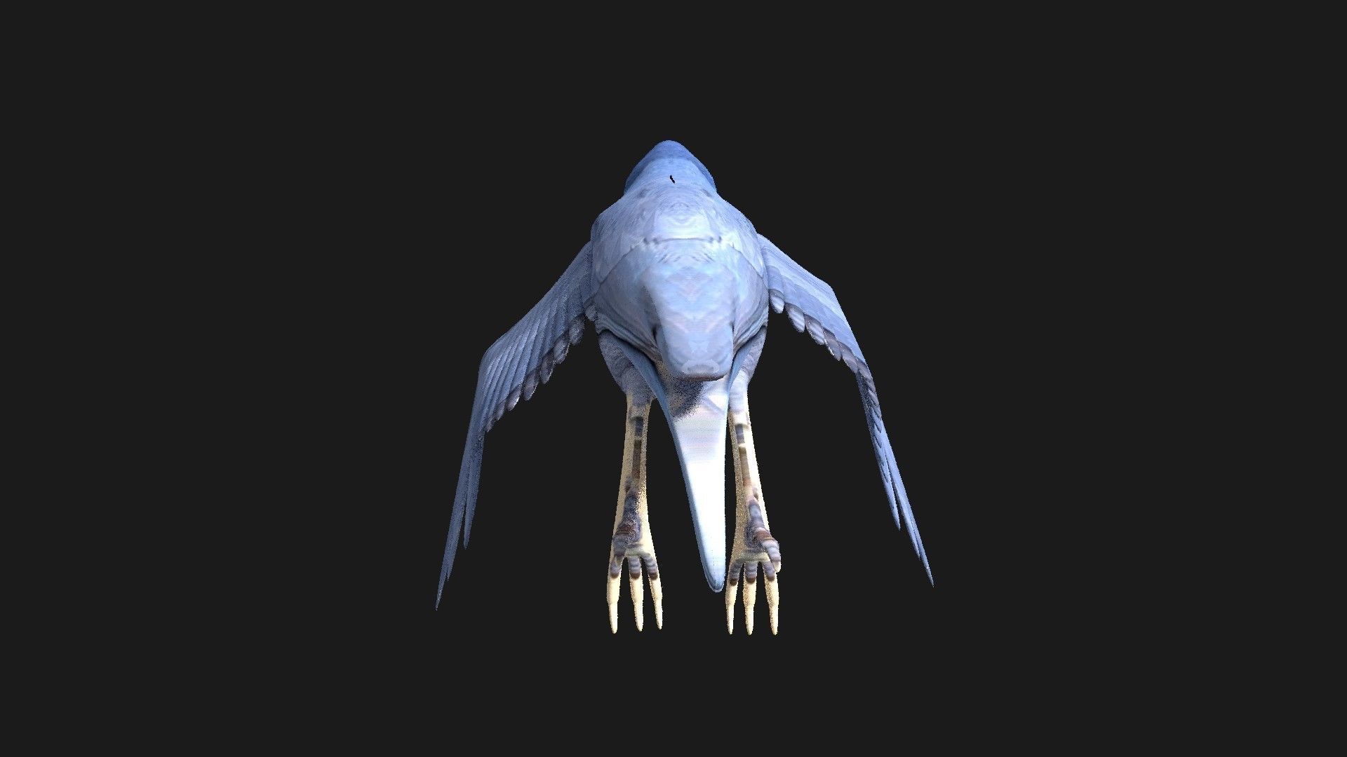 blue bird animated 3D model_12