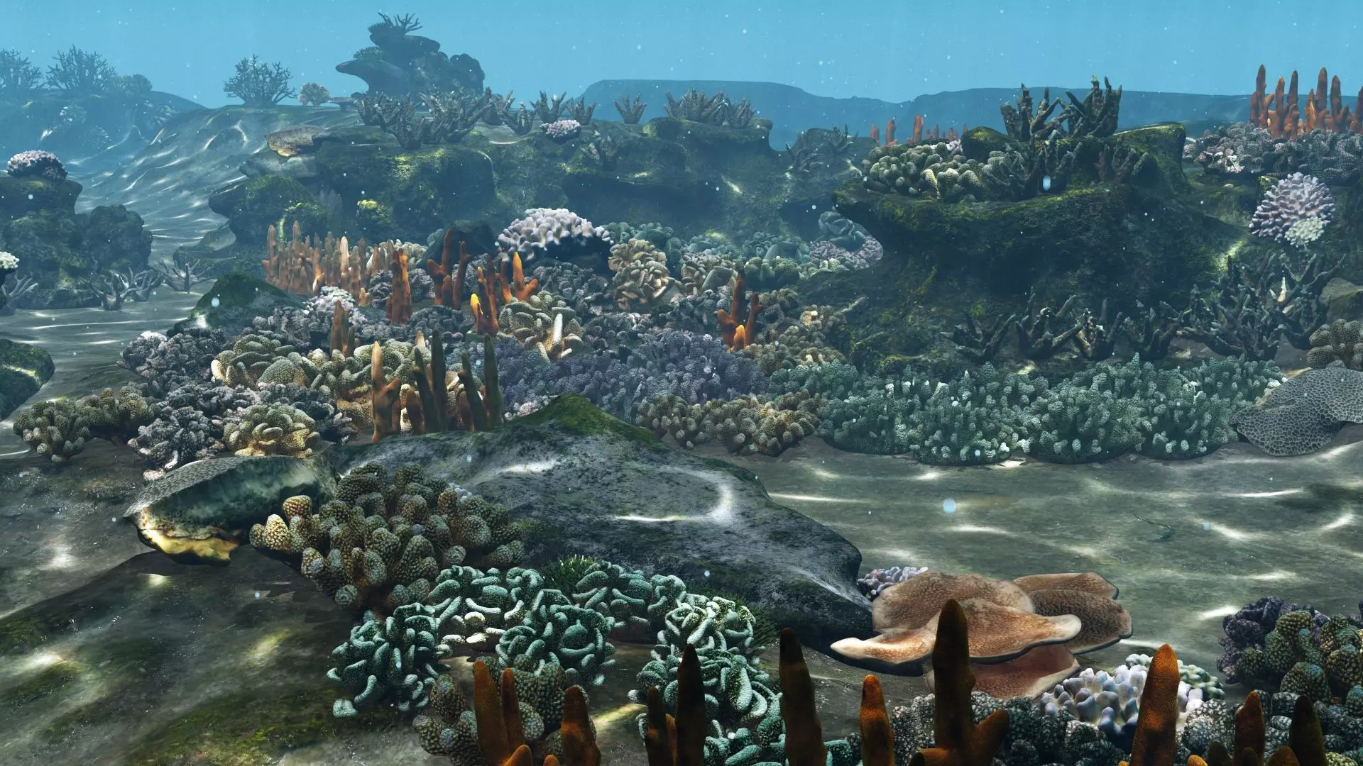 Underwater Coral Reef Habitat Ocean V3 Low-poly 3D model_0