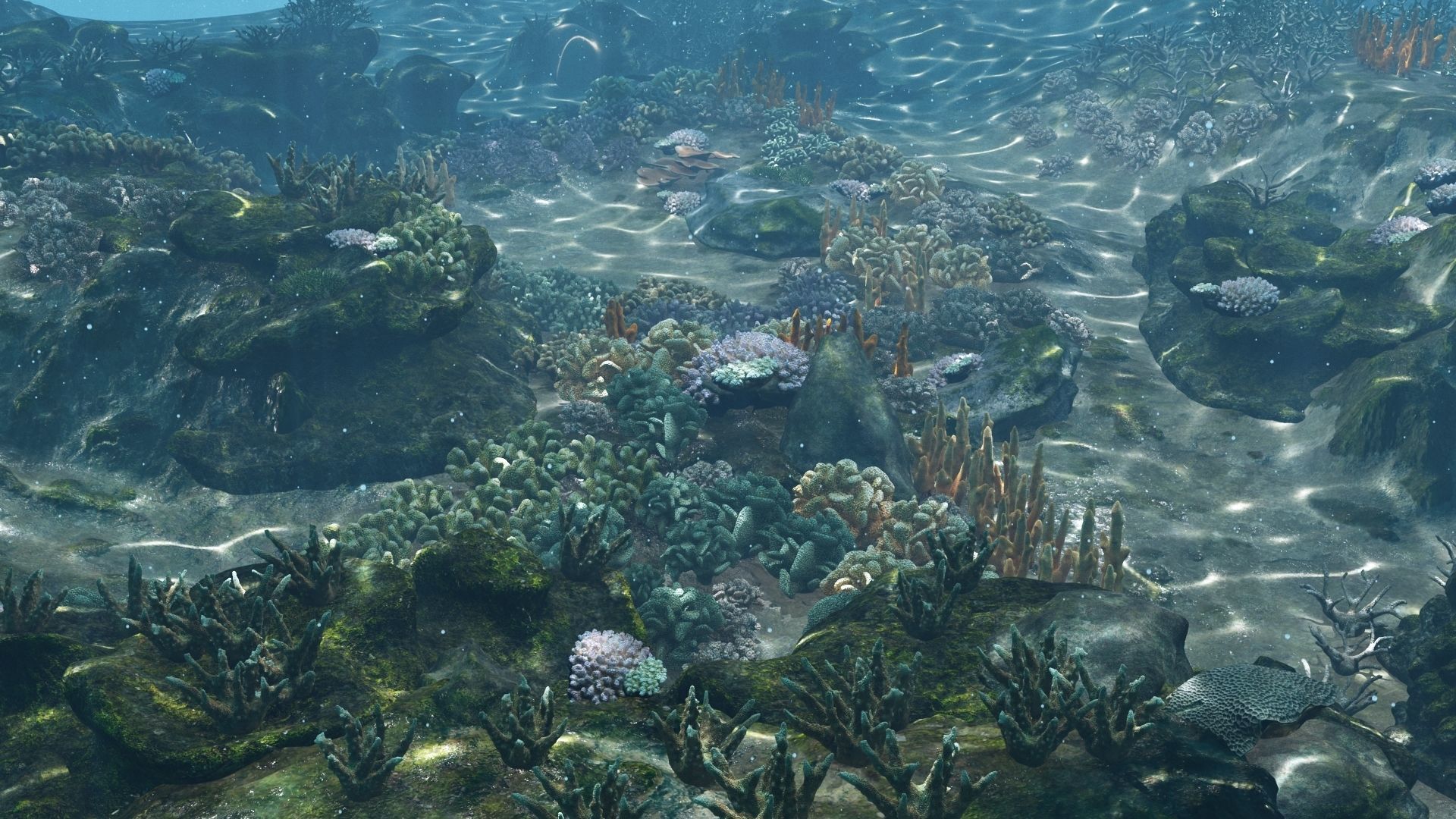 Underwater Coral Reef Habitat Ocean V3 Low-poly 3D model_2