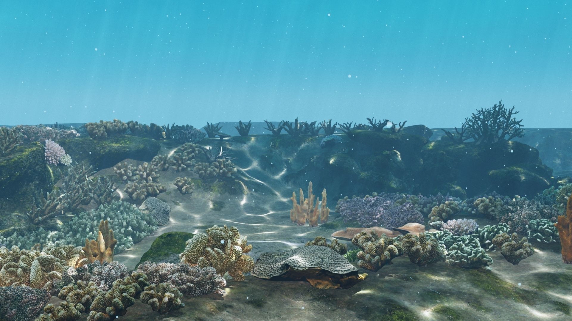 Underwater Coral Reef Habitat Ocean V3 Low-poly 3D model_9