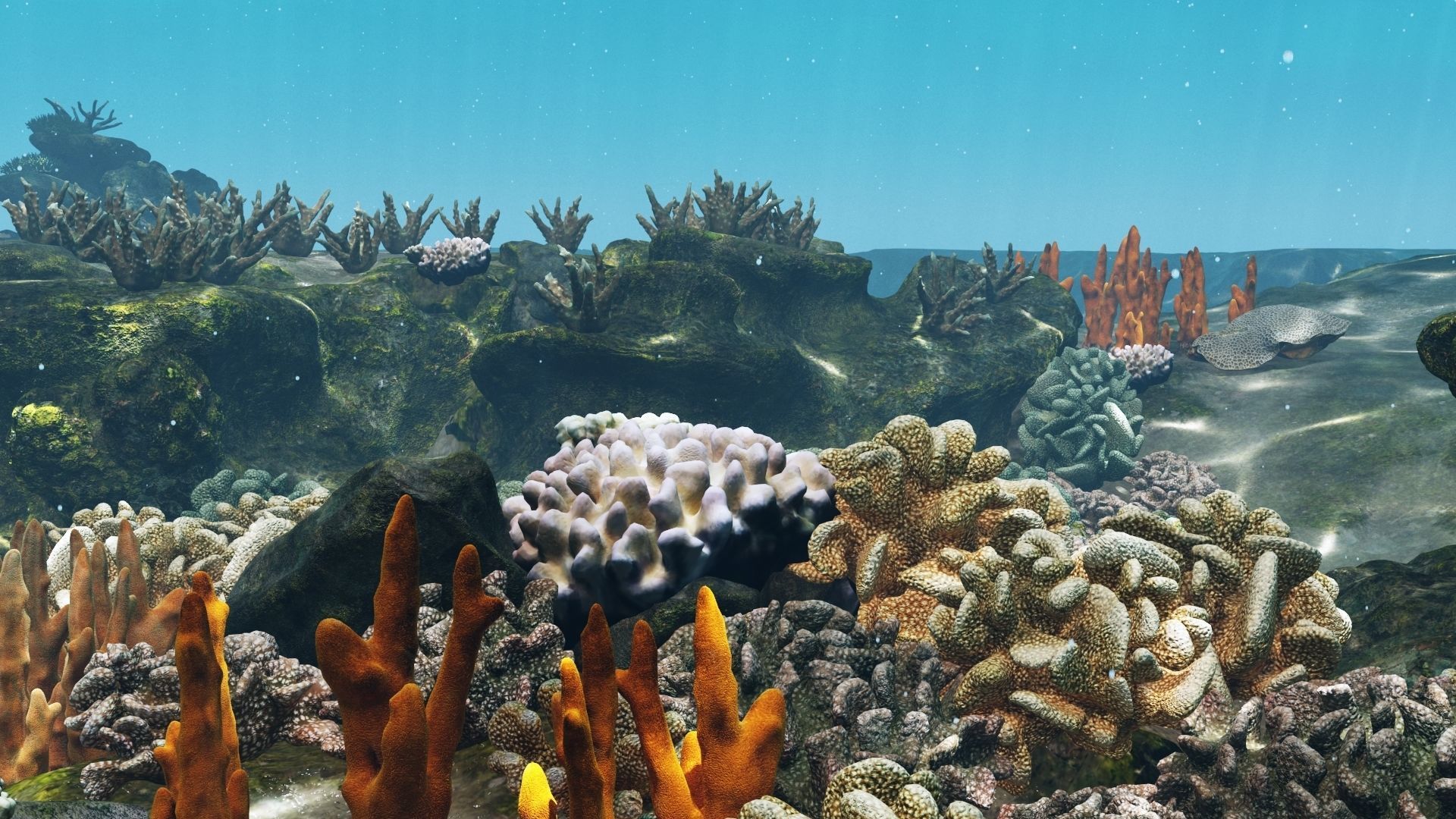 Underwater Coral Reef Habitat Ocean V3 Low-poly 3D model_10