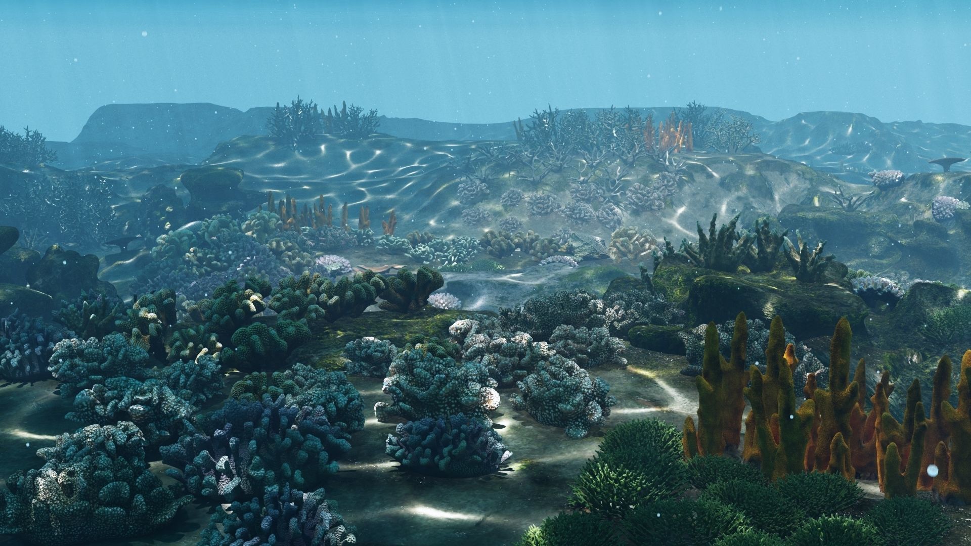 Underwater Coral Reef Habitat Ocean V3 Low-poly 3D model_6