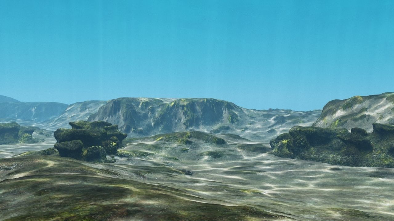 Underwater Coral Reef Habitat Ocean V3 Low-poly 3D model_11