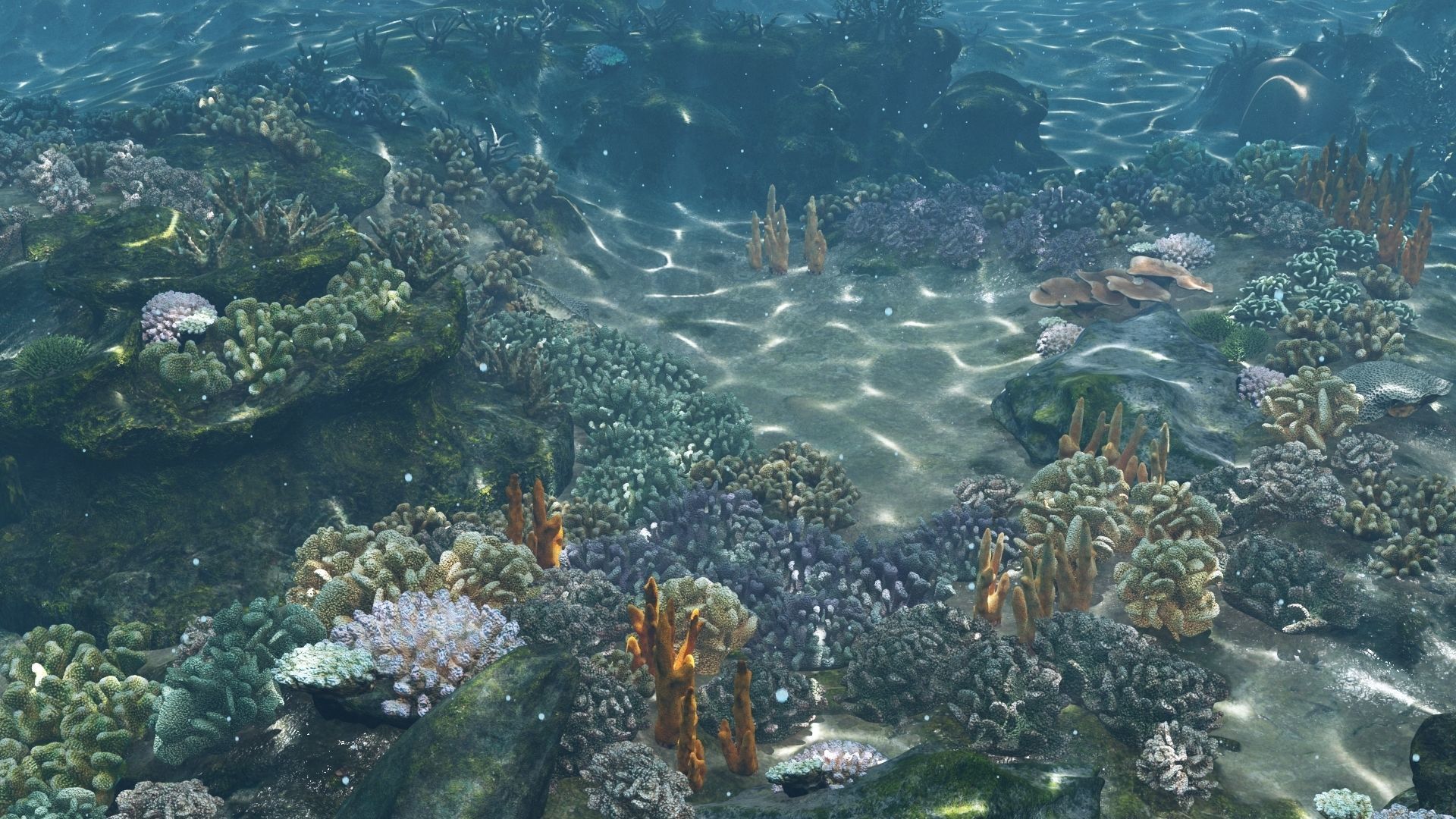 Underwater Coral Reef Habitat Ocean V3 Low-poly 3D model_4