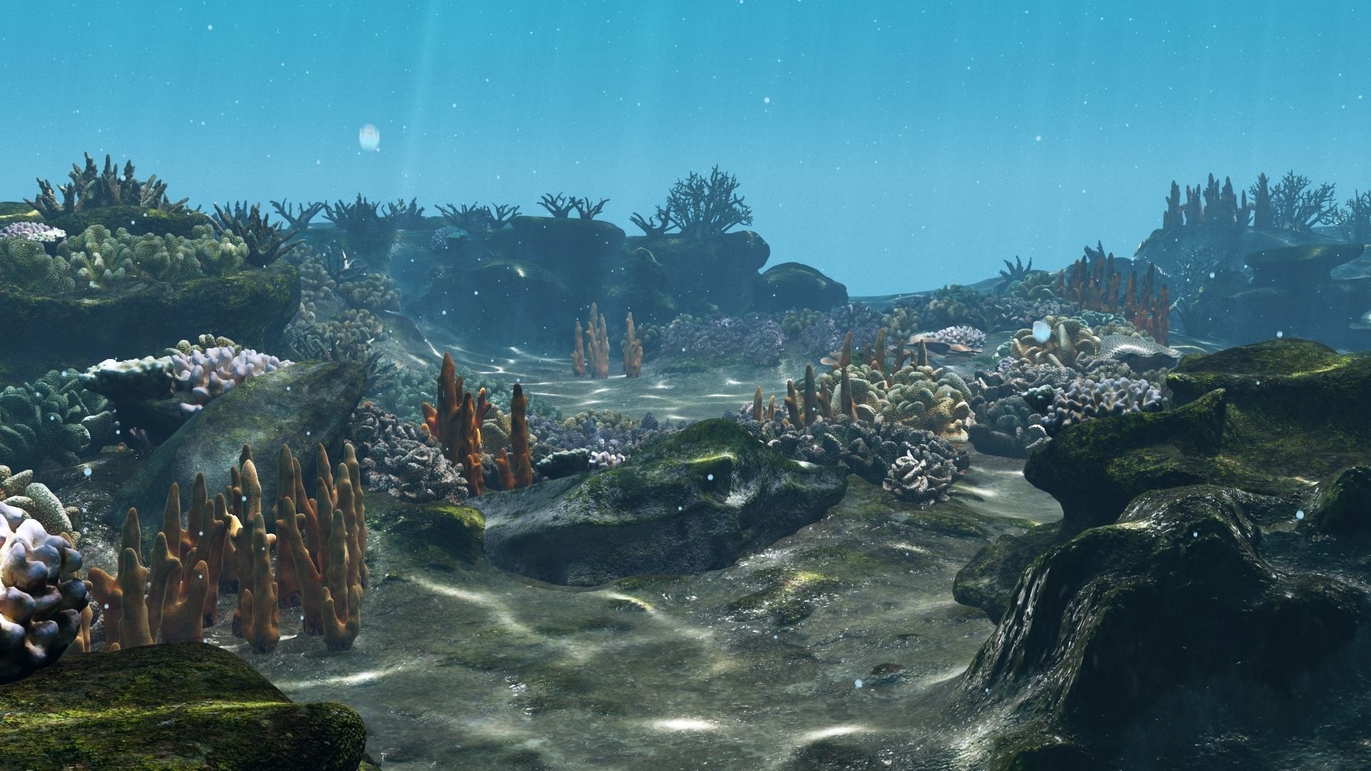 Underwater Coral Reef Habitat Ocean V3 Low-poly 3D model_7