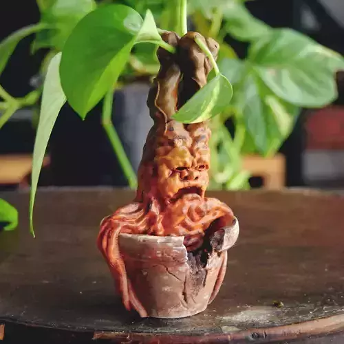 MANDRAKE PLANT - HARRY POTTER 3D print model