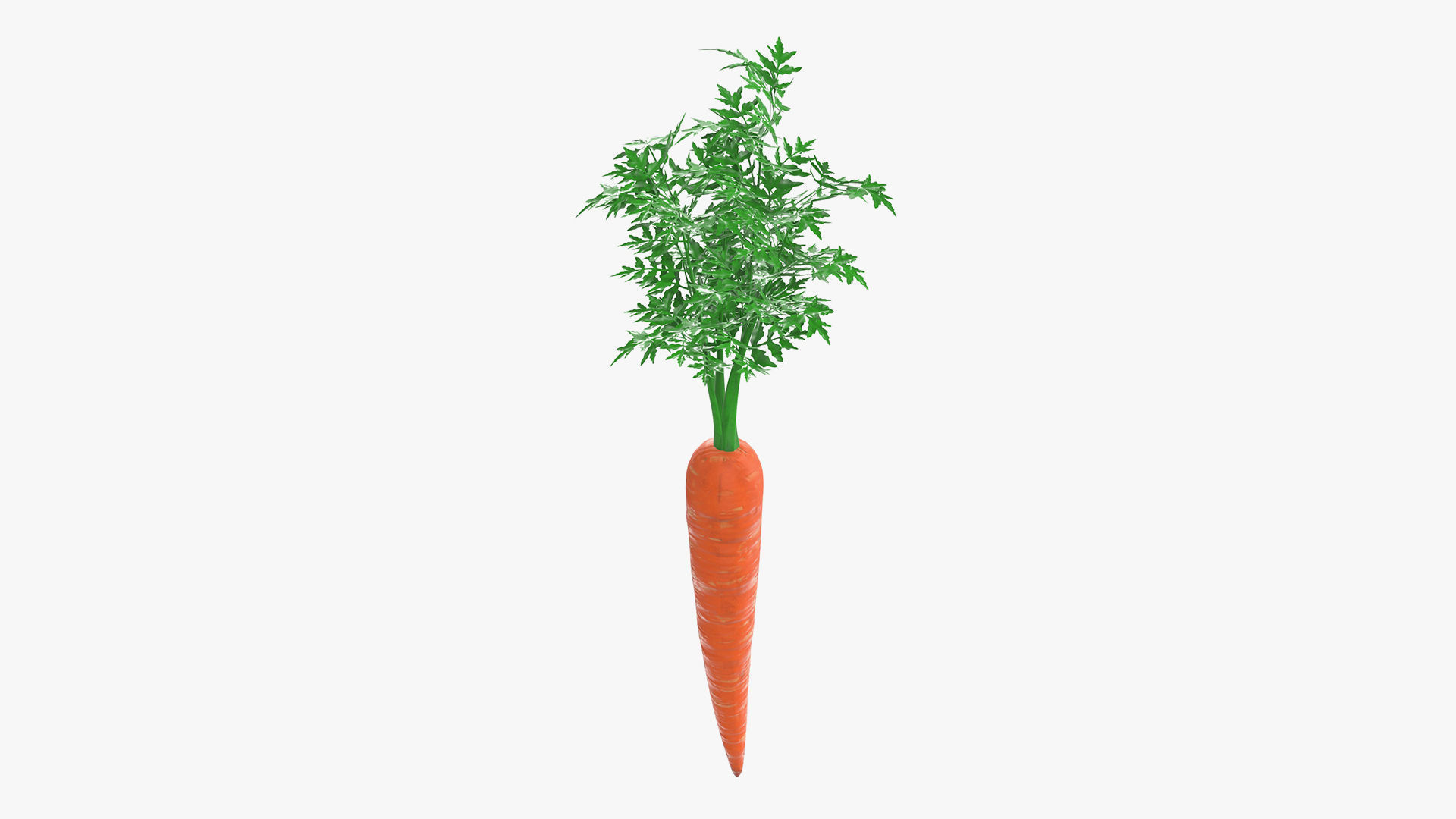 Food collection large _20