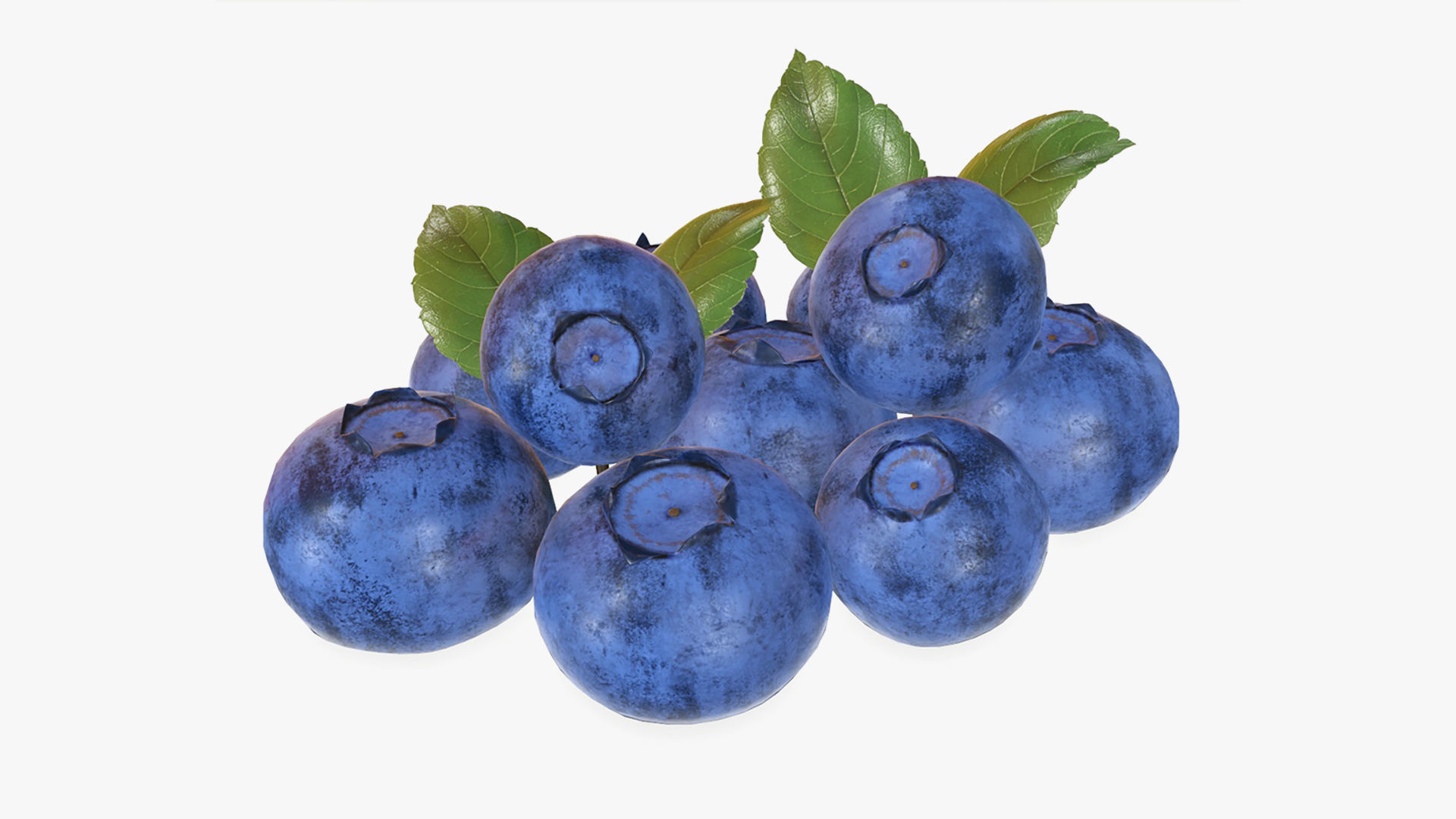 Food collection large _37