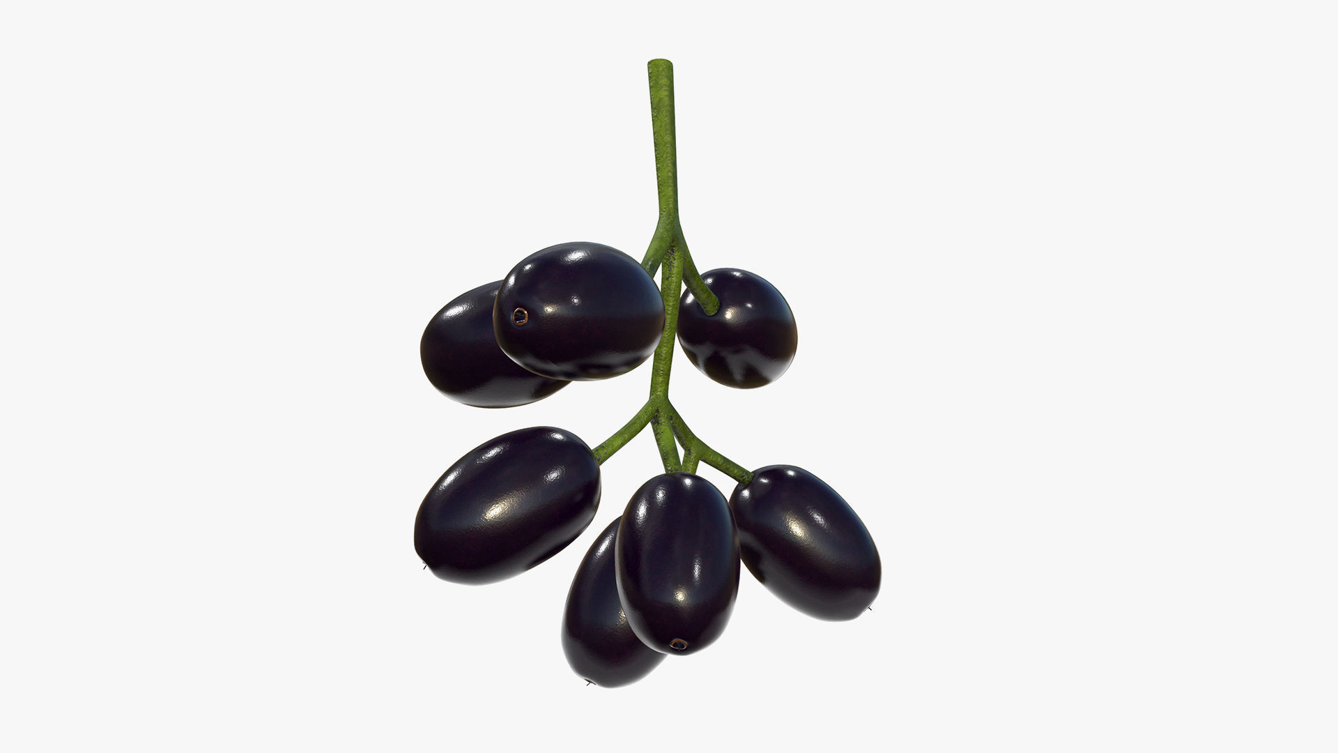 Food collection large _33