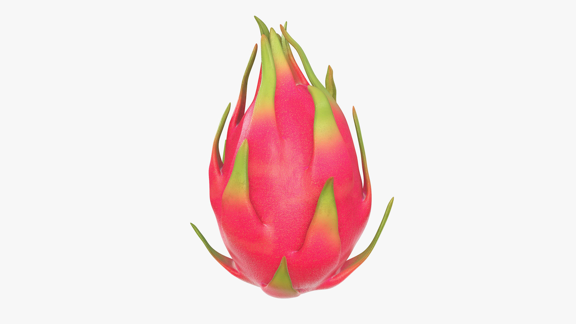 Food collection large _35