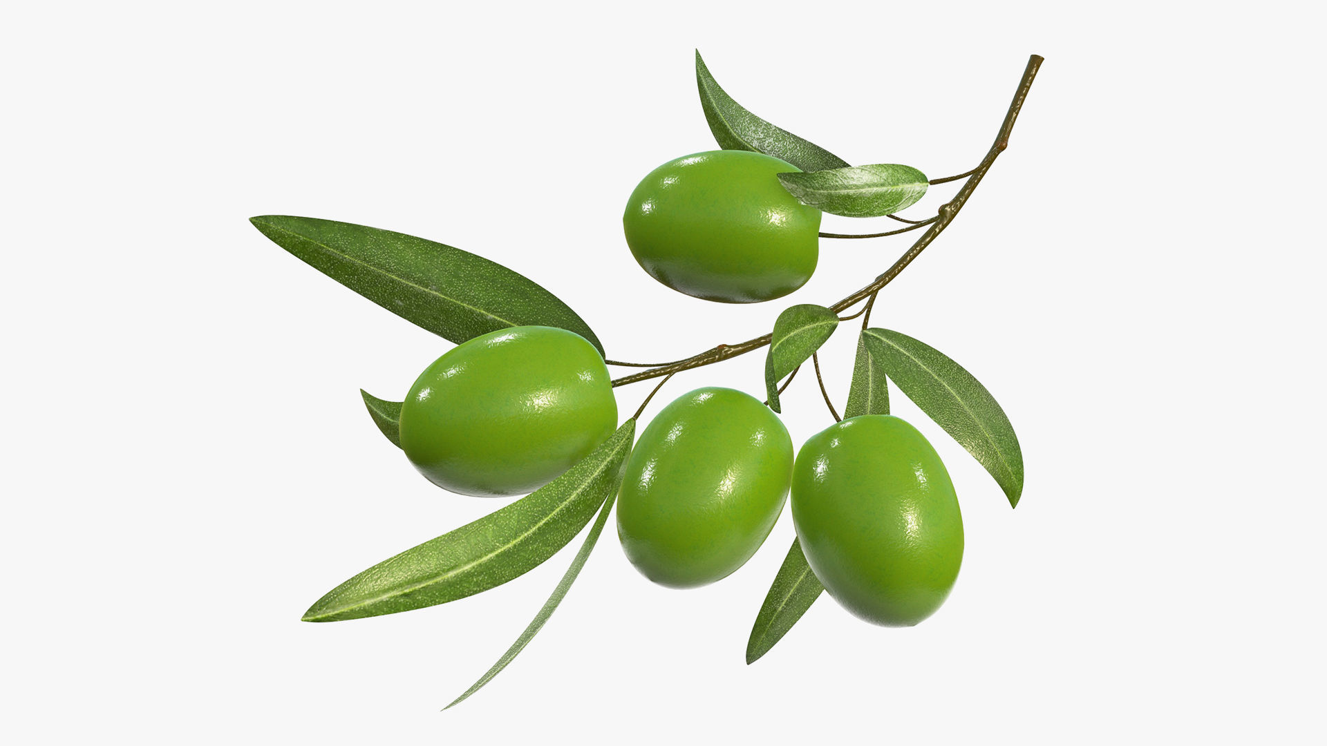 Food collection large _21