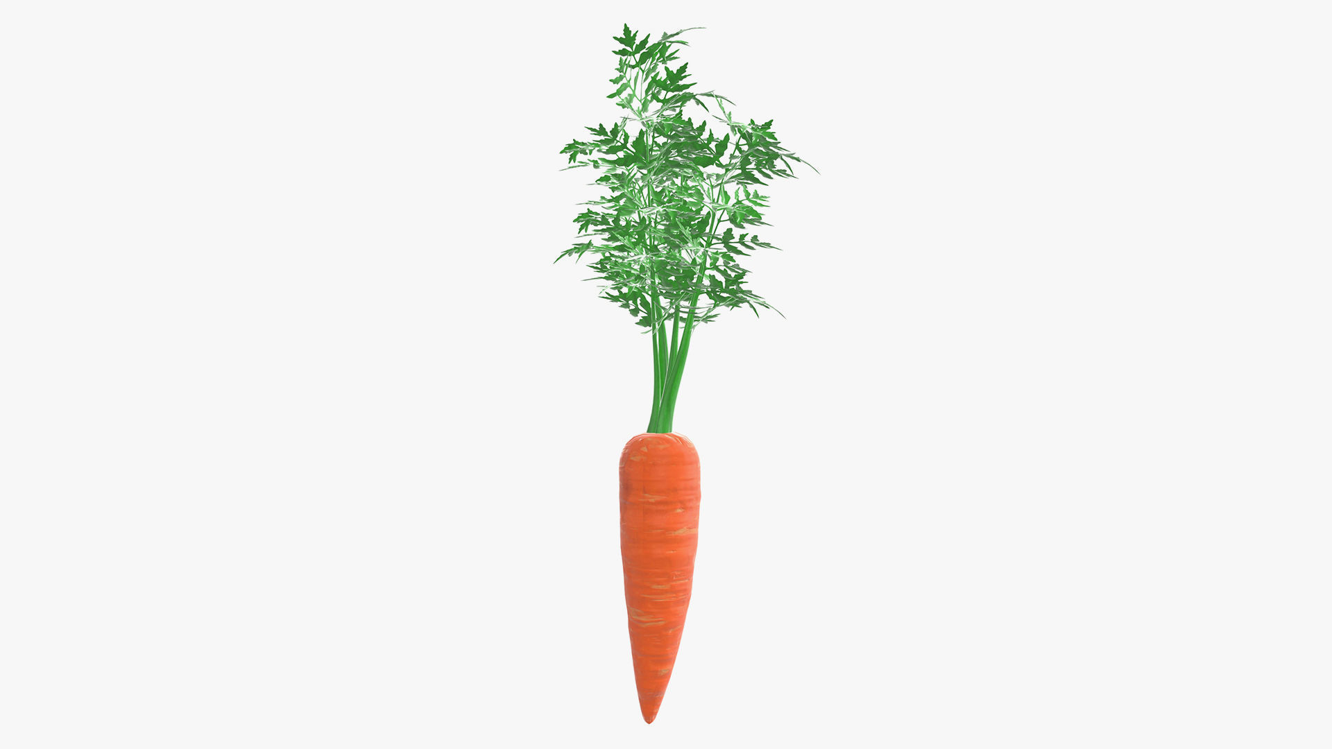 Food collection large _19