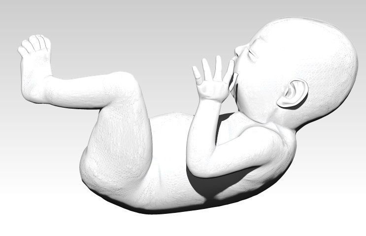 Baby solid model 3D print model_2