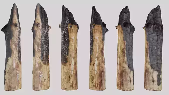 Ultra Realistic Burnt Wooden Log Scan 8k HD 3D model