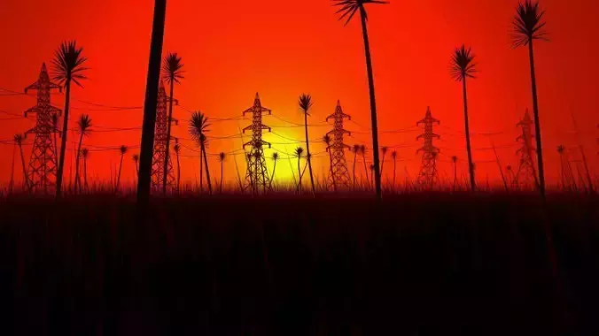 Sunset power lines and palm trees at