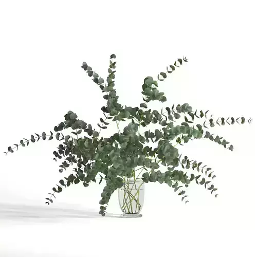 Eucalyptus bouquet