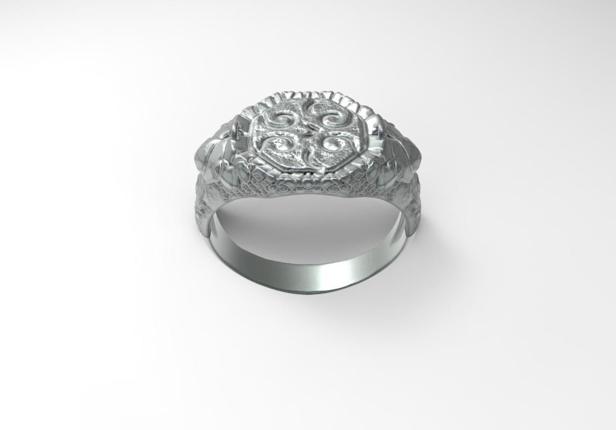 MEN Ring special model 3D print model_1
