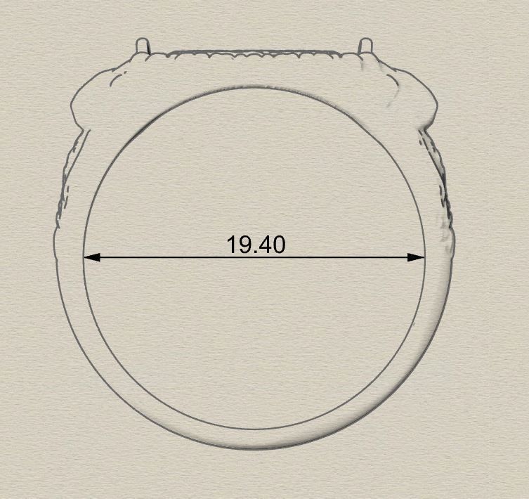 MEN Ring special model 3D print model_4