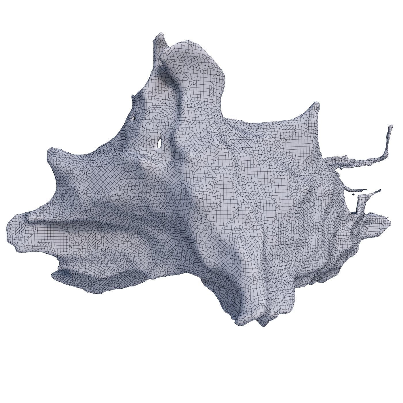 Splash 14 3D model_4