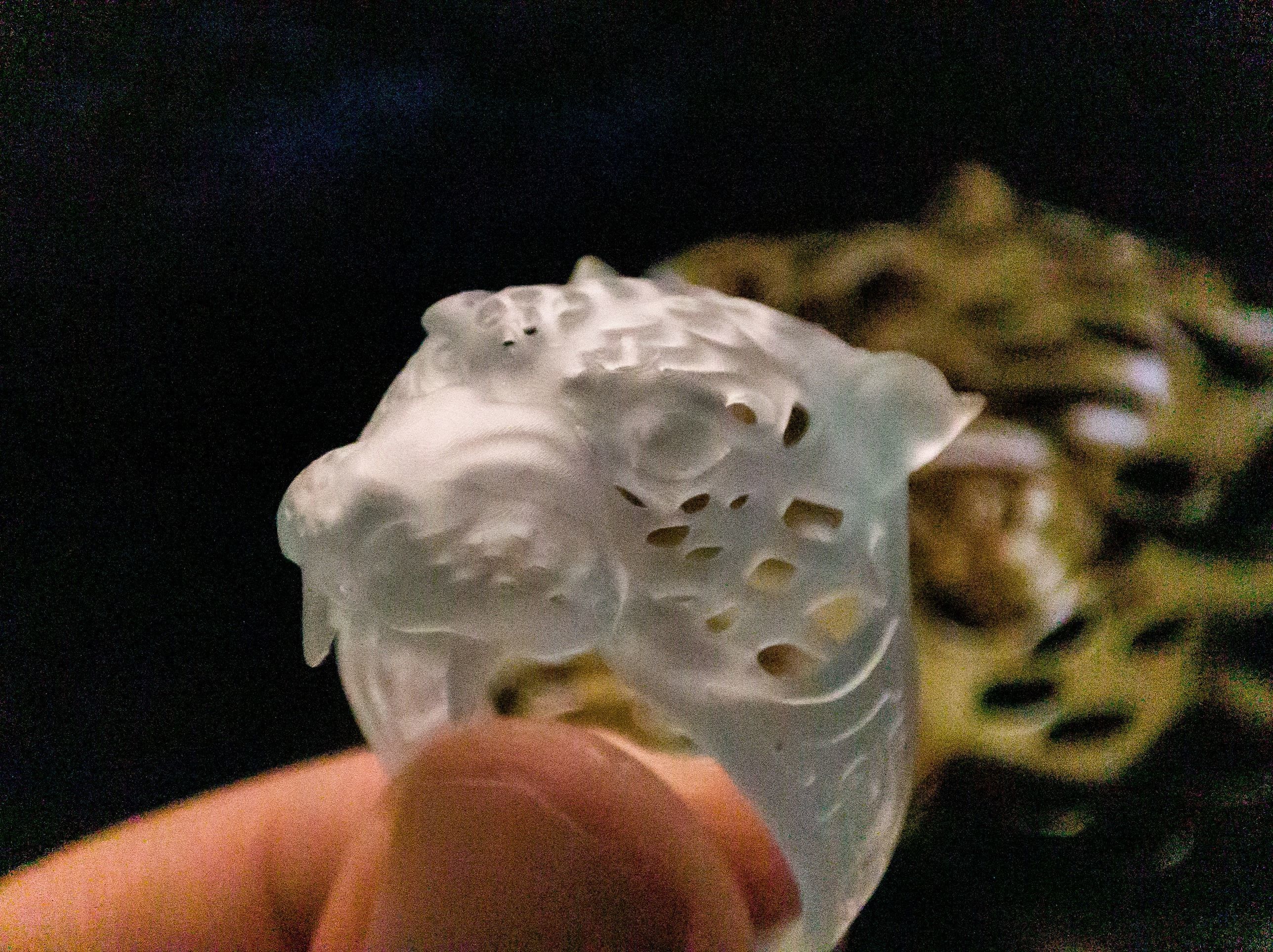Mayan Jaguar Ring  3D print model_4