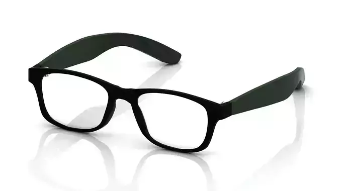 Eyeglasses for Men and Women 3D print model
