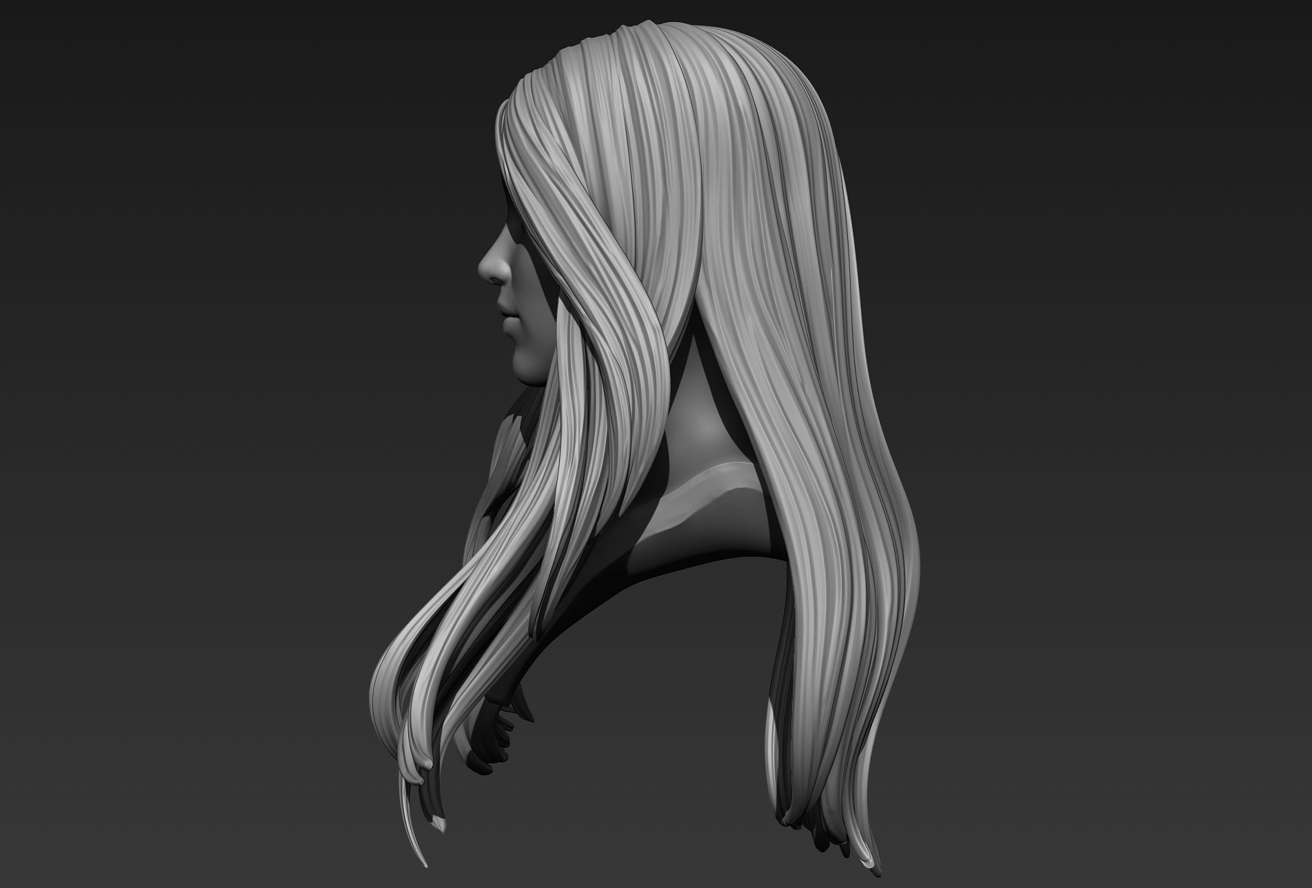 Hair 14 3D model_4
